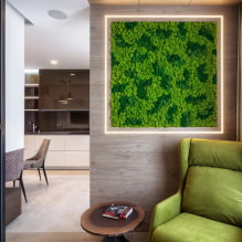 Mos in de interieur-1