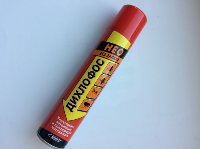 aerosol van muggen in het appartement