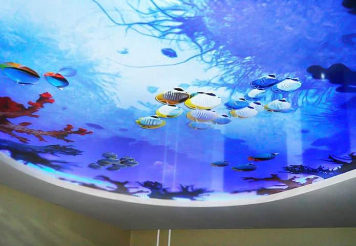 plafond met 3D-fotoprints die een aquarium nabootsen