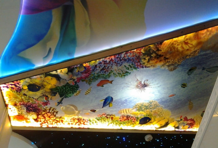 plafond met 3D-fotoprints die een aquarium nabootsen