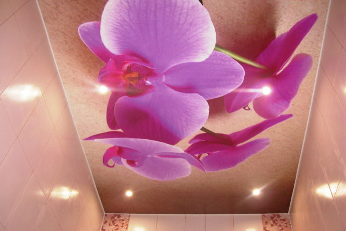 plafond met afbeelding van orchidee?n