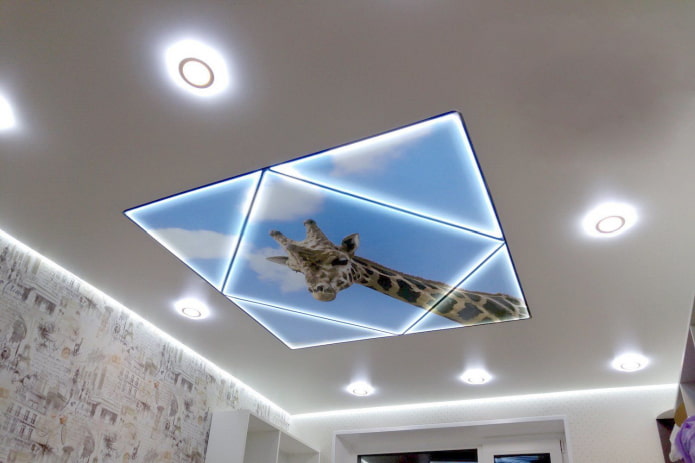 plafond met een giraf