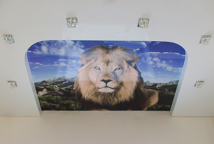 plafond met een leeuw