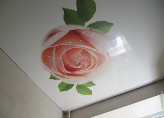 gespannen stof met fotoprint in de vorm van een roos