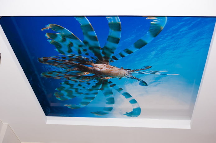 gespannen canvas met fotoafdruk onderwaterwereld