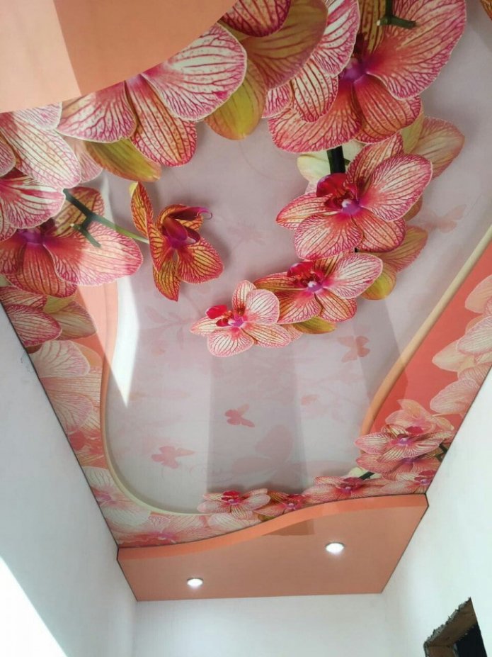 roze spanplafond met fotoprint