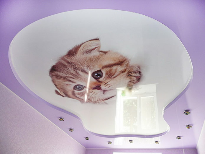 fotoprint met een katje