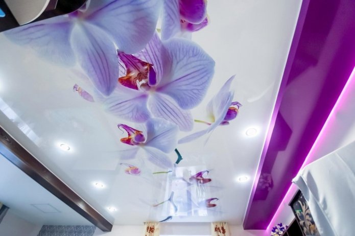paars spanplafond met fotoprint