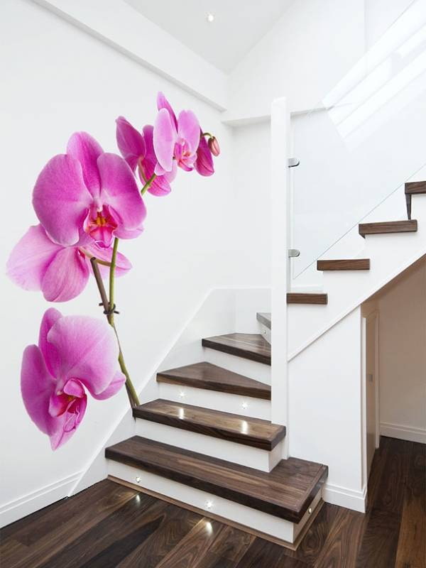fotobehang met orchidee
