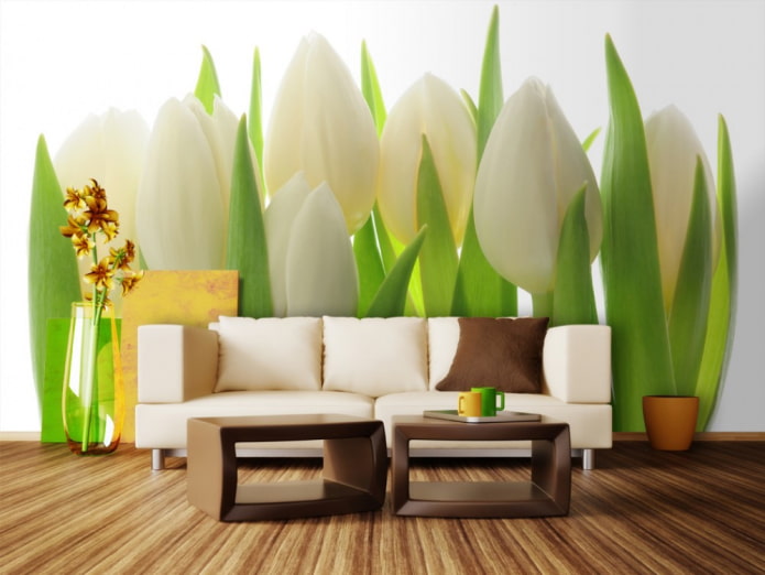 fotobehang met tulpen