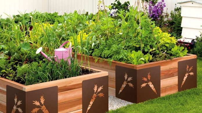 tuin