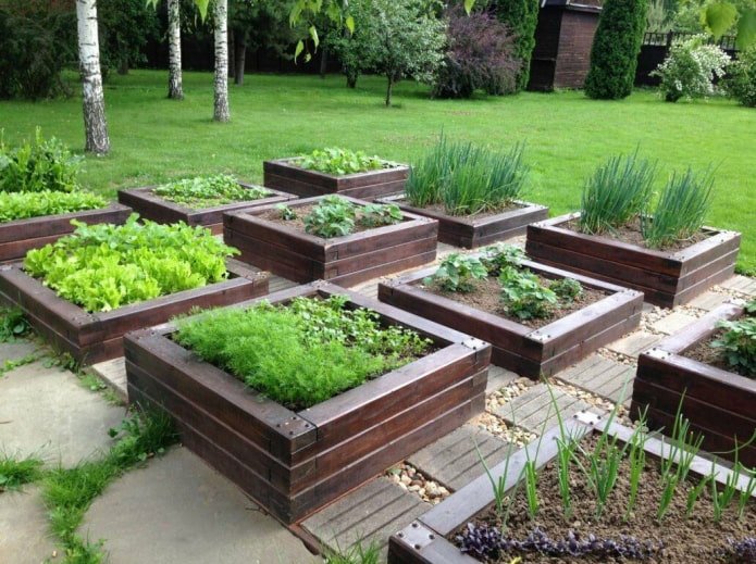 mini-tuin