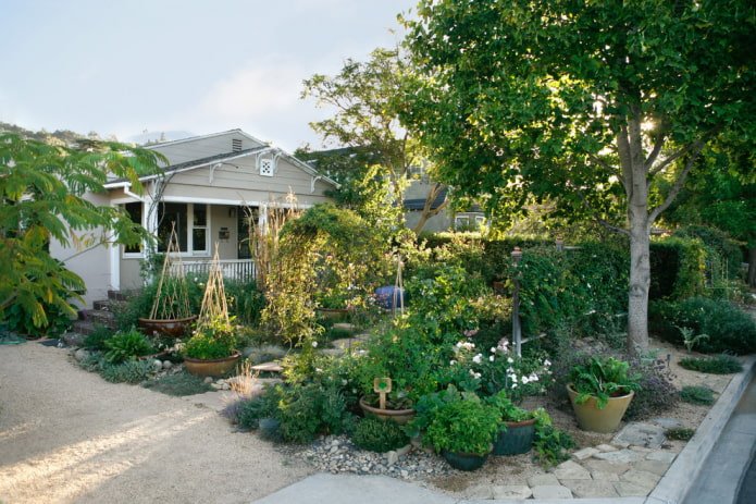 Moestuin in de voortuin