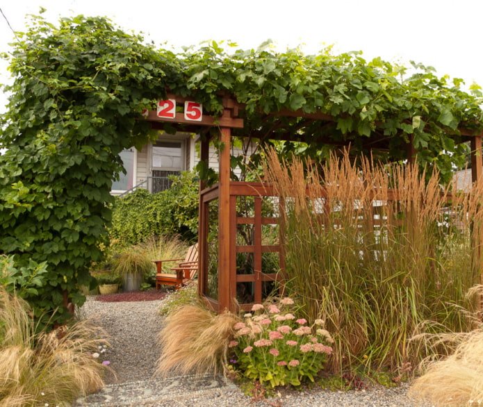 Natuurlijke tuin