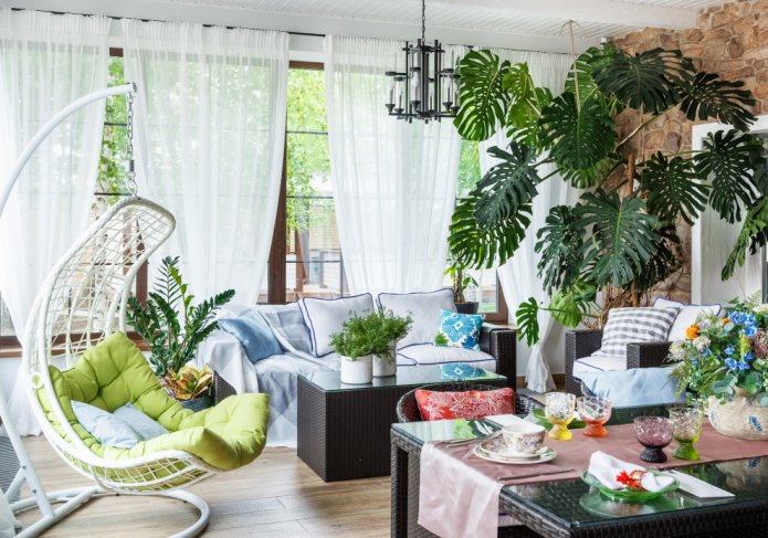 Monstera op de veranda