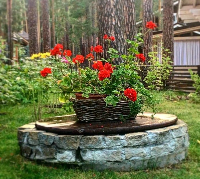mand met rode bloemen op een septictank