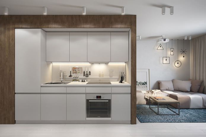 Originele kleine studio van 30 m?