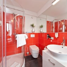 Badkamerinterieur in een moderne stijl: 60 beste foto's en ontwerpidee?n-11