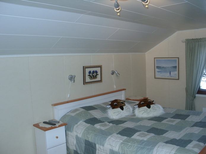 kunststof panelen voor zolderwanden