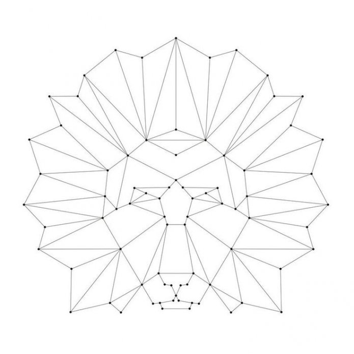 leeuwenkopdiagram