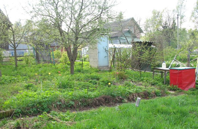 Perceel voor de renovatie