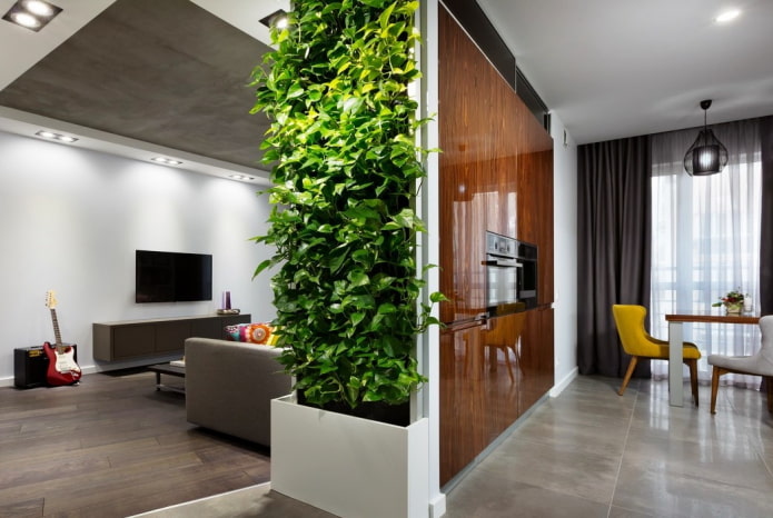 planten als scheidingswand in het interieur van de keuken-woonkamer