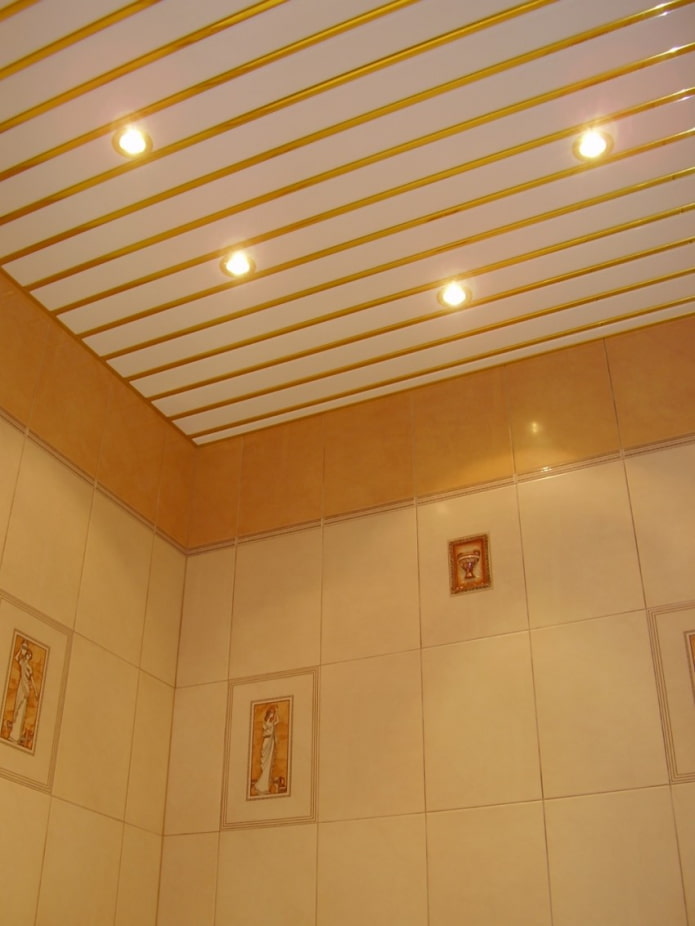 lamellenplafond in de badkamer