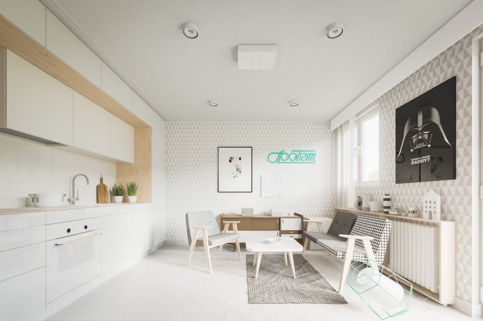Ontwerp van een klein studio-appartement van 20 m?.