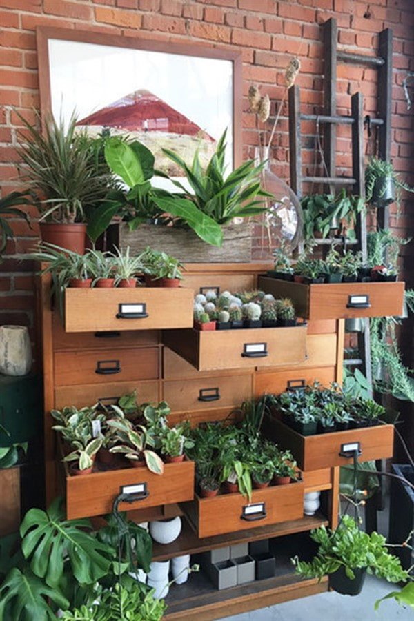 Planten in een ladekast