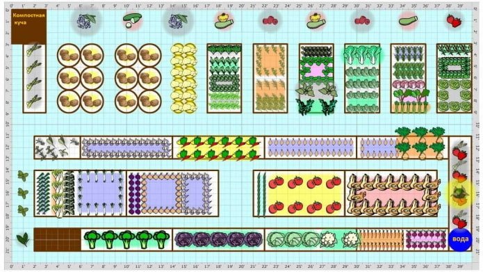tuinplan