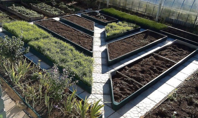 diagonaal pad in de tuin