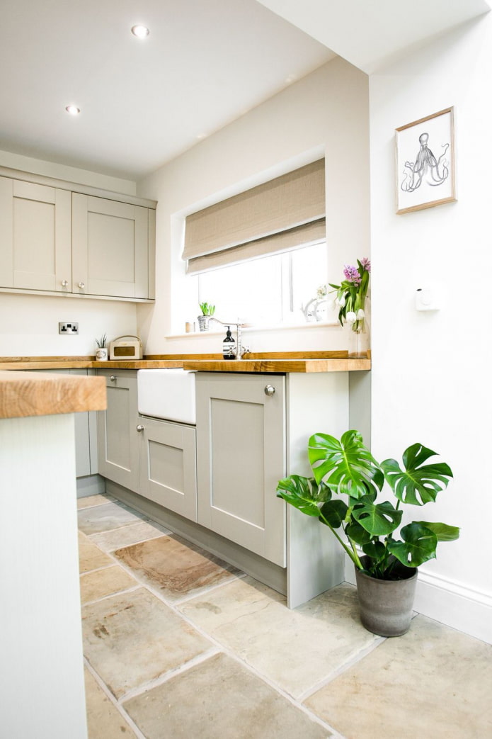monstera in de keuken
