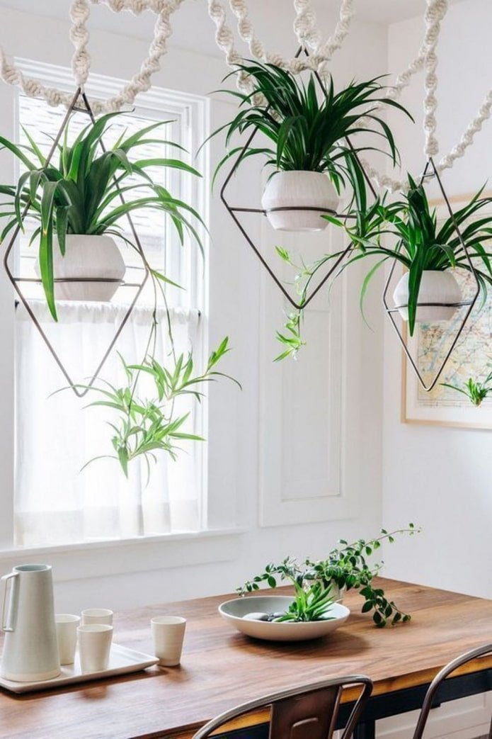 bloemen boven de eettafel hangend