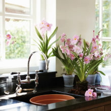 Welke planten kun je in de keuken gebruiken?-0