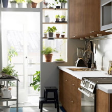 Welke planten zijn geschikt voor de keuken?-4