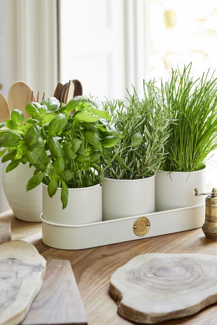 Groen in de keuken