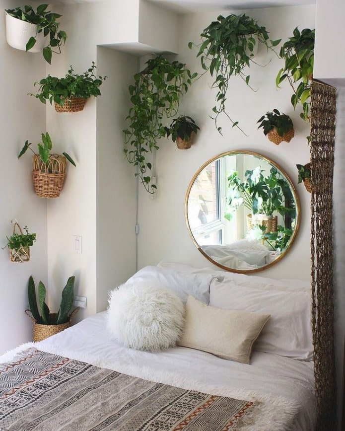 Klimplanten binnen