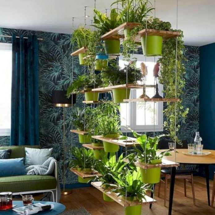 Laaggroeiende planten in het interieur