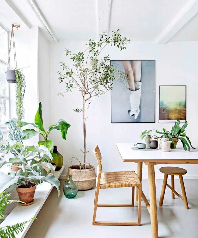 Interieurdecoratie met planten
