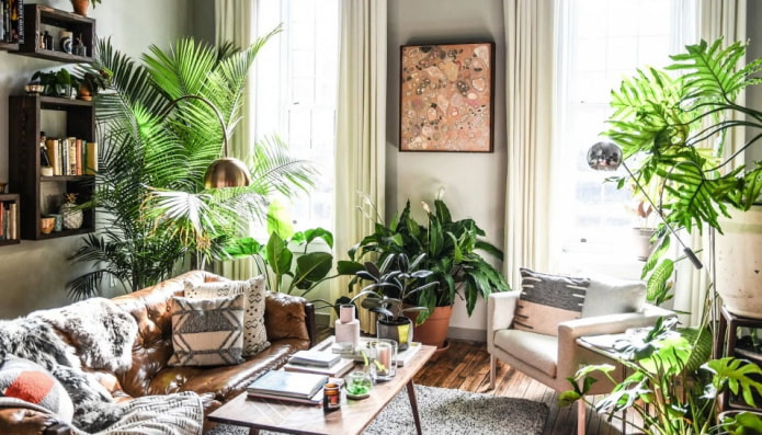 planten