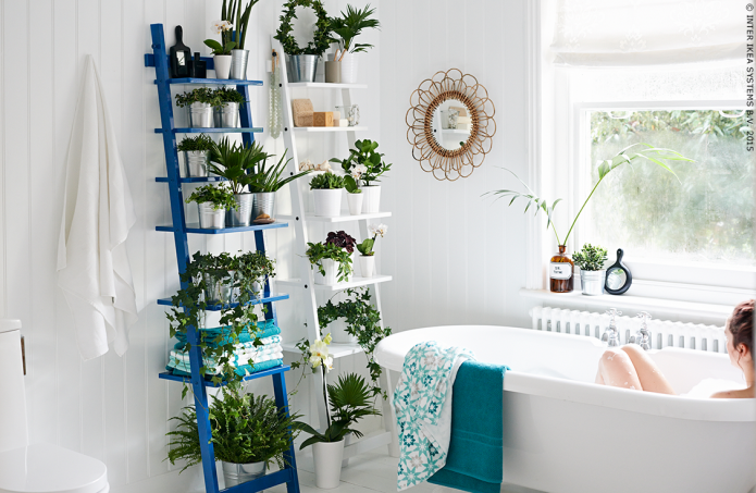 Planten in de badkamer