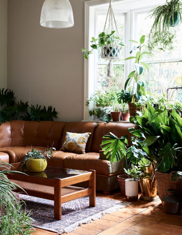 Planten in het interieur van de woonkamer