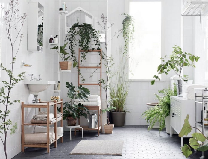 veel planten in de badkamer