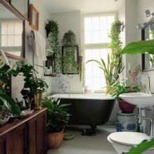 Planten voor de badkamer-0