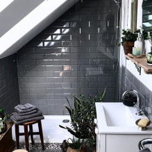 Planten voor de badkamer-1