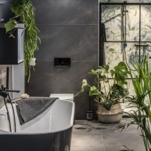 Planten voor de badkamer-5