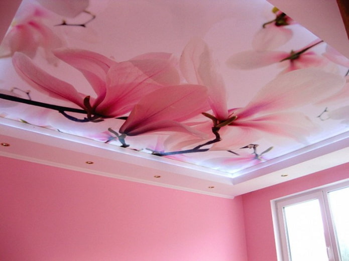roze plafondstructuur met fotoafdrukken