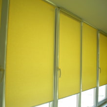 Rolgordijnen voor balkon of loggia: soorten, materialen, kleur, design, bevestiging-4