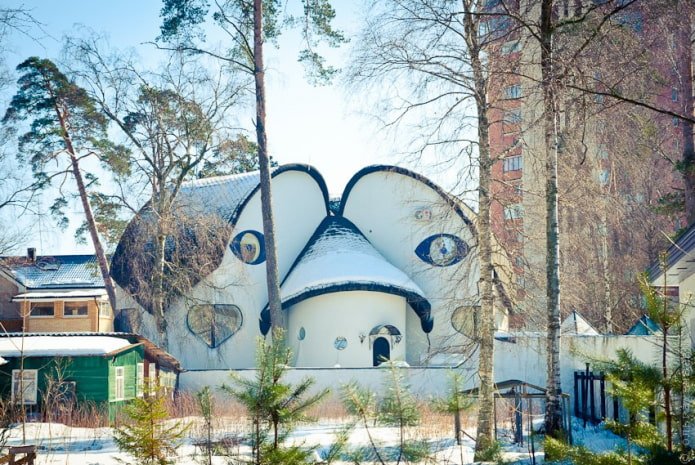 huis met ogen in Sestroretsk