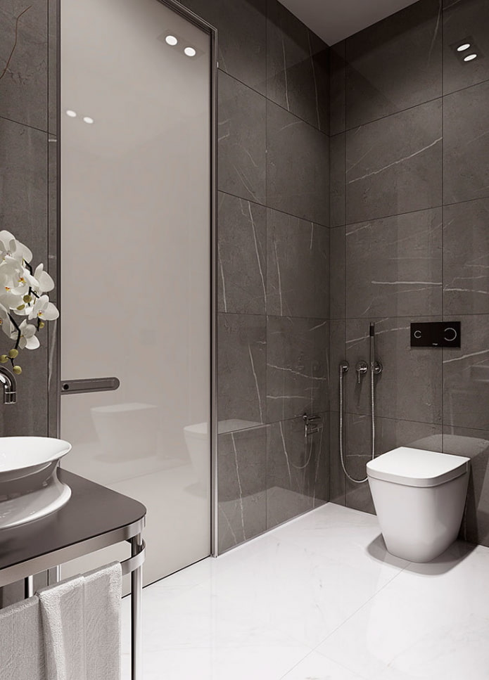toilet interieur in grijstinten